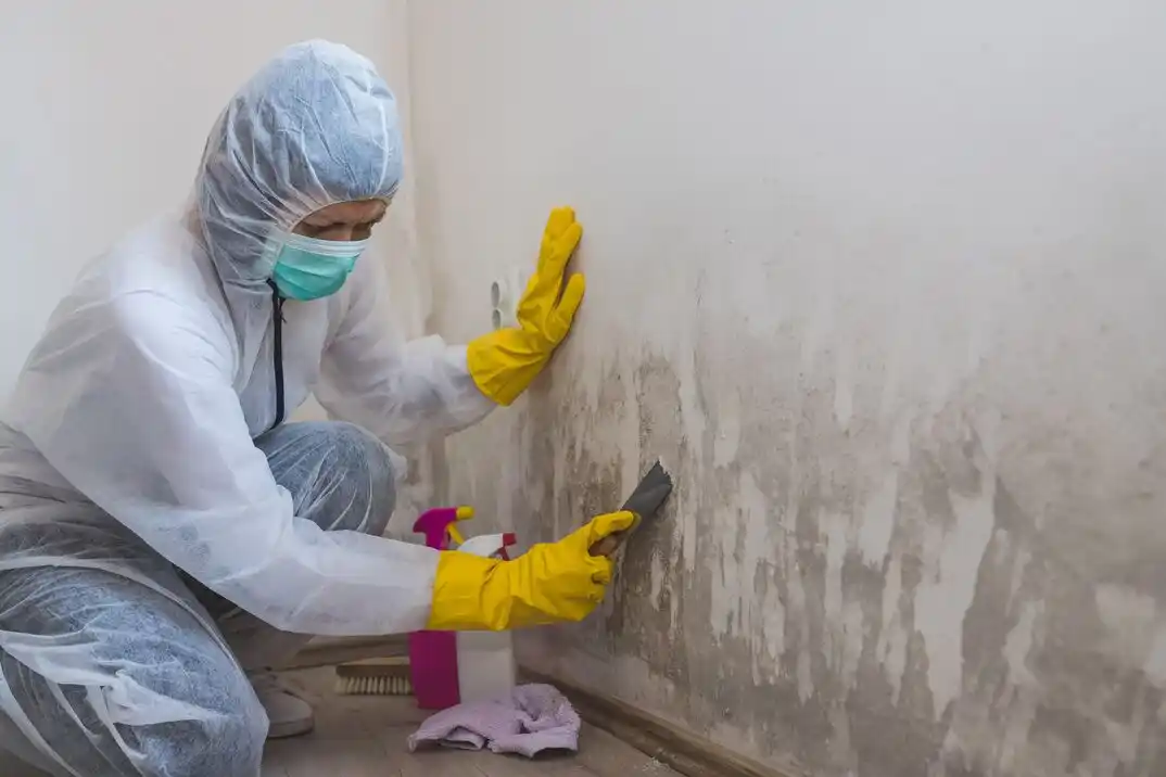 water damage restoration service West Hills